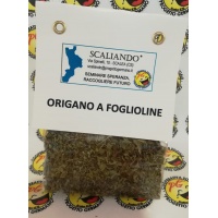 origano_foglie